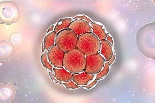 2025厦门市试管婴儿私人机构排名，这些私立医院上榜了