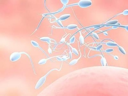 哈萨克斯坦三代试管婴儿费用全解析，从术前到移植的详细花费