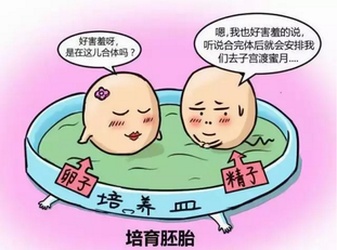 海口做试管婴儿比较好医院，2026年海口试管婴儿医院名单揭秘