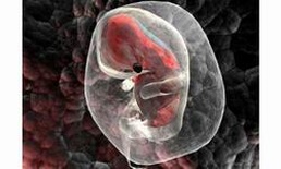 2025年山东齐鲁医院试管婴儿费用一览及明细